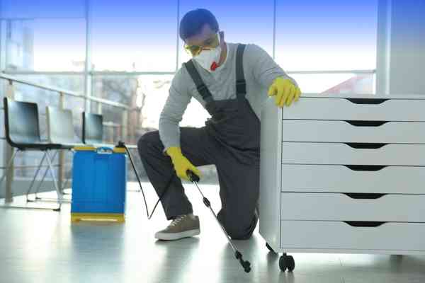 Commercial Pest Control